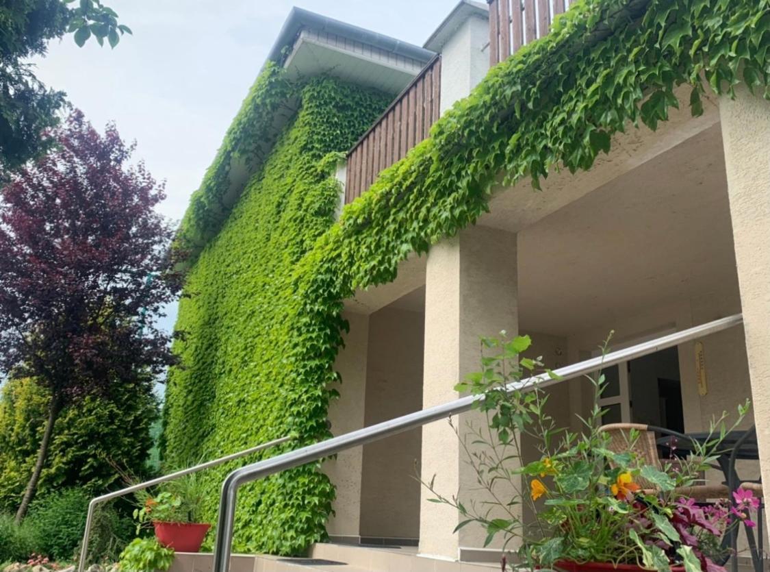 Dom V Zahrade Hotel Podhájska Exterior photo